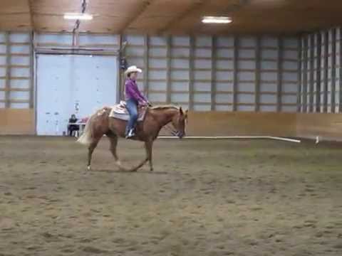 WD Basic Pattern B Dreamer