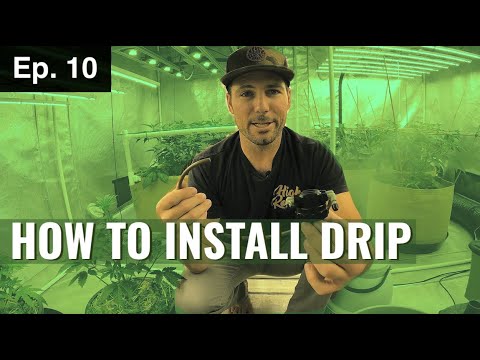 BuildASoil 10x10: INSTALLING A DRIP SYSTEM: Season 2, Episode 10