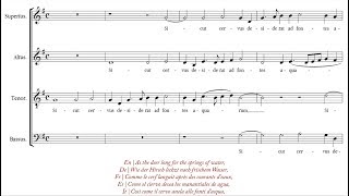 Palestrina | Sicut cervus [á 4; The Cambridge Singers]