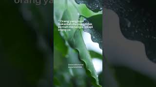 Download lagu kata kata islami buat status wa 30 detik #shorts #islamic mp3 Download lagu kata kata islami buat status wa 30 detik #shorts #islamic mp3