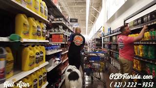 Download Lagu 2 Year Old Newfoundland Thumbnail