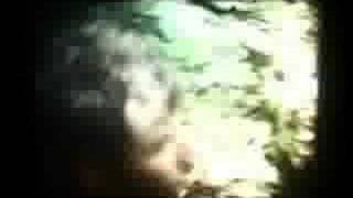 Lit Up by THE NATIONAL