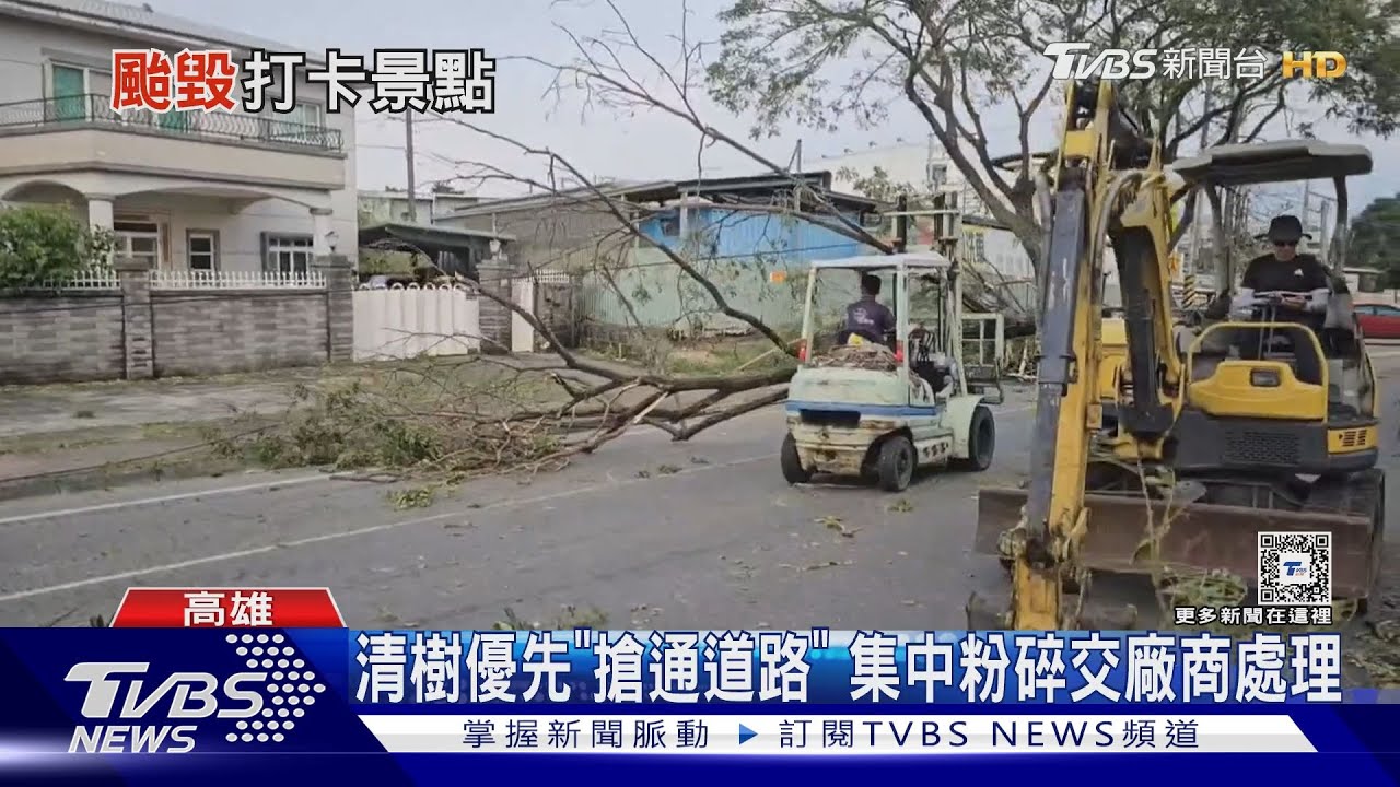 高雄路樹災情逾2500件!大型機具清除 網紅「安全帽樹」也遭殃