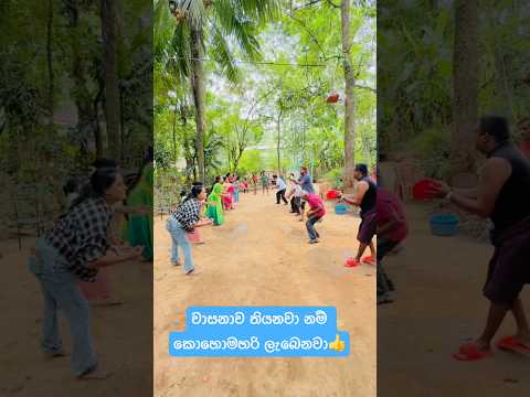 වාසනාව තියනවා නම් කොහොමහරි ලැබෙනවා..🥺👍 #funny #comedy