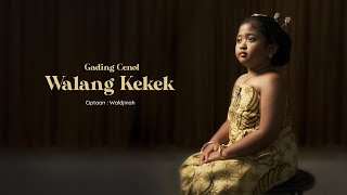 Download lagu Walang Kekek, Gading Cenol, mp3 Download lagu Walang Kekek, Gading Cenol, mp3