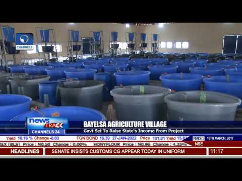 Bayelsa To Raise Income From Agriculture Village