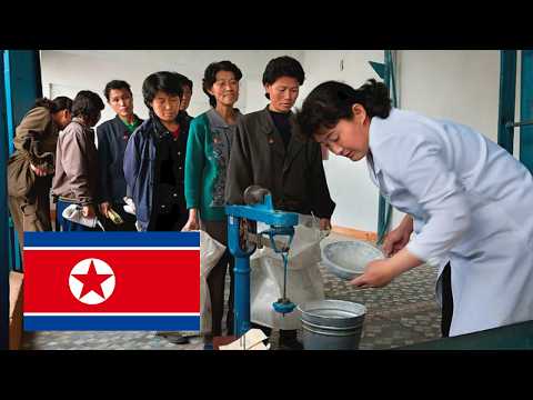 Living Conditions In North Korea: How Ordinary People Live