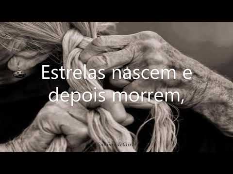 LP - Forever For Now (Tradução/Legendado)