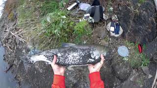 Резинка для рыбалки на реке амур