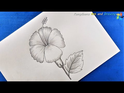 Joba ful Drawing | How to draw Hibiscus