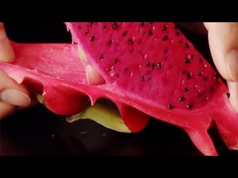 download lagu mp3 mp4 Dragon Fruit Dishes, download lagu Dragon Fruit Dishes gratis, unduh video klip Dragon Fruit Dishes