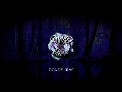 ☠️Purrp Unk - Donde irás