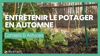 Entretenir le potager en automne (permaculture)
