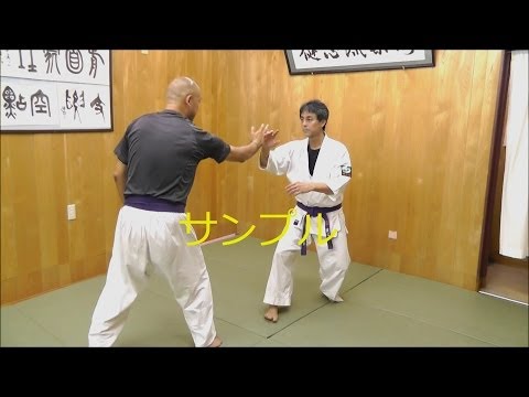 「つむじ切り」（触れて構えた状態からの崩し） サンプル