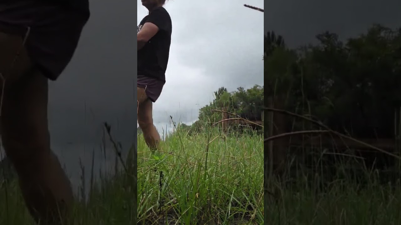 Caroline video