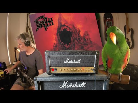 Capturing Chuck Schuldiner's - The Sound Of Perseverance Guitar Tone