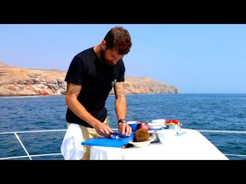 download lagu mp3 mp4 Gourmet Ceviche, download lagu Gourmet Ceviche gratis, unduh video klip Gourmet Ceviche