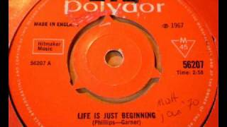 THE CREATION - Life is just beginning