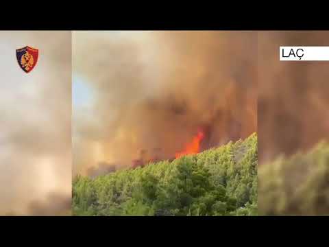 Zjarri në Laç, arrestohet 41-vjeçari, shkaktoi zjarrin teksa po digjte mbeturinat