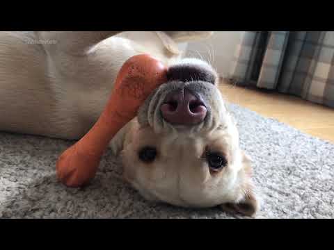 Olive and Mabel - behind the scenes.