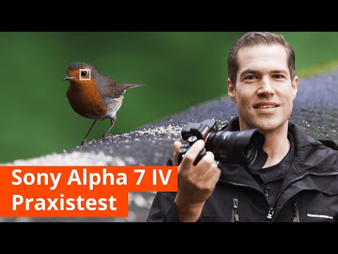 Sony Alpha 7 IV Praxischeck – Bildqualität, Autofokus, Bildstabilisator, Breathing Control, Fokusmap