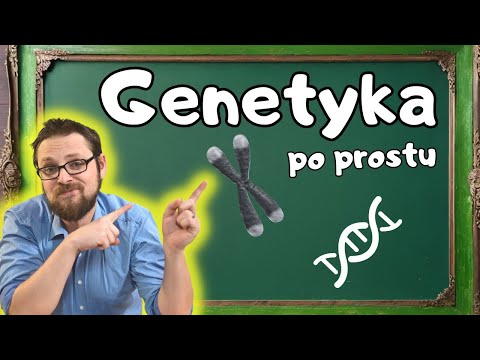 Genetyka! Co to jest DNA, Budowa DNA, Chromosomy, Dziedziczenie, Zmienność - MEGA ciekawa  biologia.