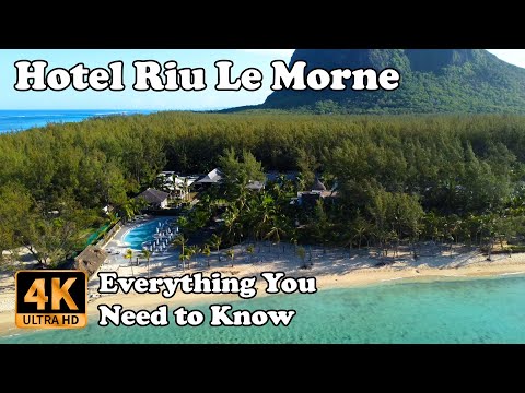 Videos del Riu Turquoise 4★ en Le Morne, MauricioVer MásVerPrecios15CerrarConsulta por Whatsapp 🇦🇷BookingTripadvisorExpediaTravelocityOrbitzTripSkyscannerDespegarKayakHotelesDestiniaTrivagoLastminuteTuiWotif