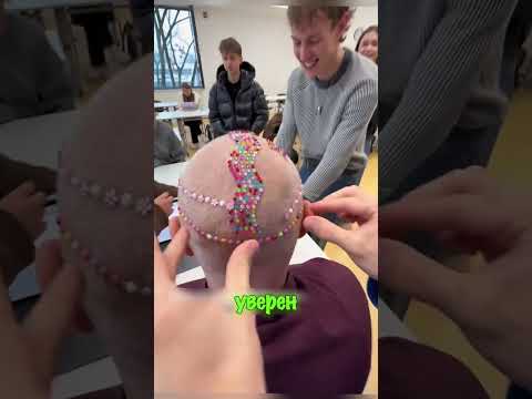 Лысина Фаберже 🤣🤣