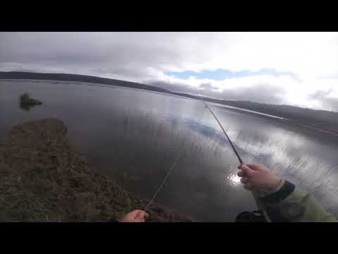 Lake Fergus Tasmania trout fishing 10/10/19