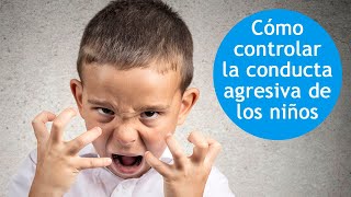 Agresividad infantil, ¿cómo controlarla