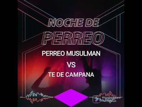 🤯PERREO MUSULMAN VS TE DE CAMPANA🤯💥😝
