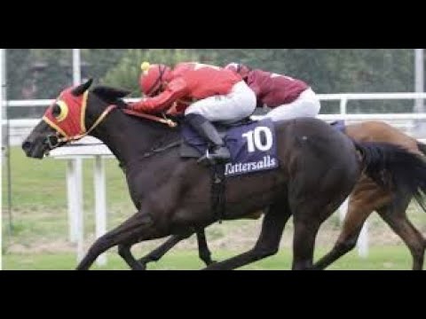 Oaks d'Italia (G2) 2024