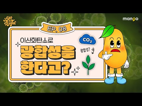 스마트팜과 이산화탄소의 관계 [스팜 Light] EP.08
