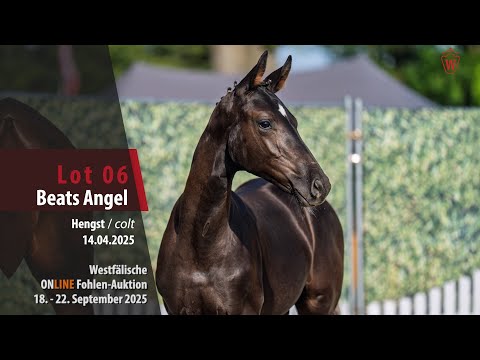ONLINE Dressurfohlen-Auktion Lot 06 Beats Angel Hengst v. Banksy Coeur - Sezuan