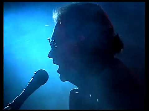 Michal David- Pěsti
