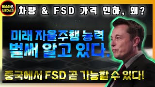 테슬라, 3개월 뒤 자율주행 능력 알고 있다! 플로리다 레벨4 & 중국 FSD 곧 시작 가능성 언급!