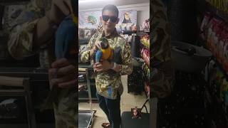 Download lagu Favorite Macaw Bird Escapes, Rezky Aditya Panics & Deploys Rescue Team mp3