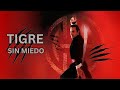 Tigre Intrépido 1991 Tráiler Oficial Película Jalal Merhi Monika Schnarre Lazar Rockwood