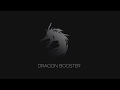 Dragon Booster Promo Ms Darvees The Moto Vlog