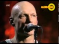 Midnight Oil Beds are burning 