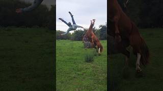 A regra dos antigo veterano 🎵