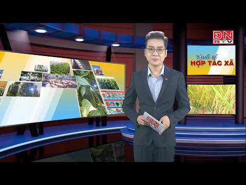 HTX Quyết Thắng Và Giải Pháp Môi Trường