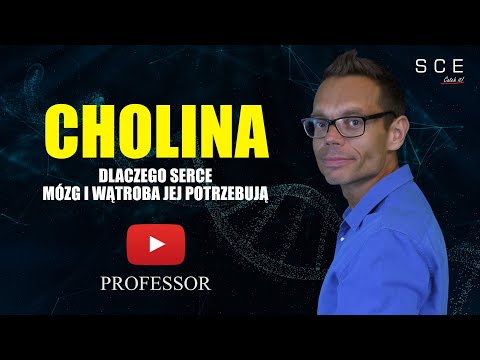 Choline - Why the Heart, Brain, and Liver Need It | Professor Episode 155