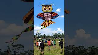 Download lagu layangan karakter burung hantu raksasa #kite #mainan #layangan #nature #ramai #anakanak #lomba mp3