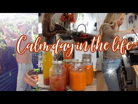 PRODUCTIVE FALL DAY IN THE LIFE: MASSIVE HARVEST, CANNING HOT SAUCE & CHICKEN SOUP 🍁