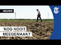 Extreme droogte: 'Ik voorzie een hoop problemen'