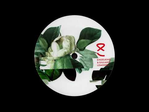 A2. Einzelkind & Giuliano Lomonte - Surprise [AKU011]