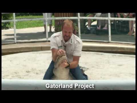 Gatorland Preview Clip