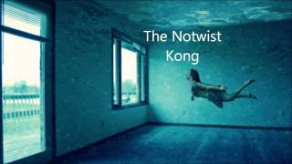 The Notwist  Kong