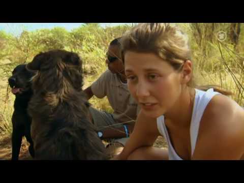 04 - Harnas - Abenteuer Afrika